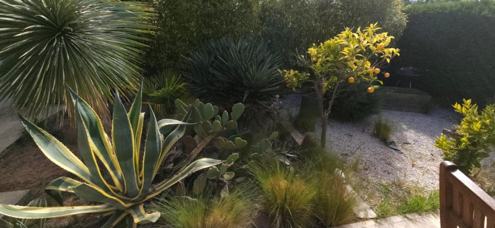 Aigues Marines Bed & Breakfast Exterior photo